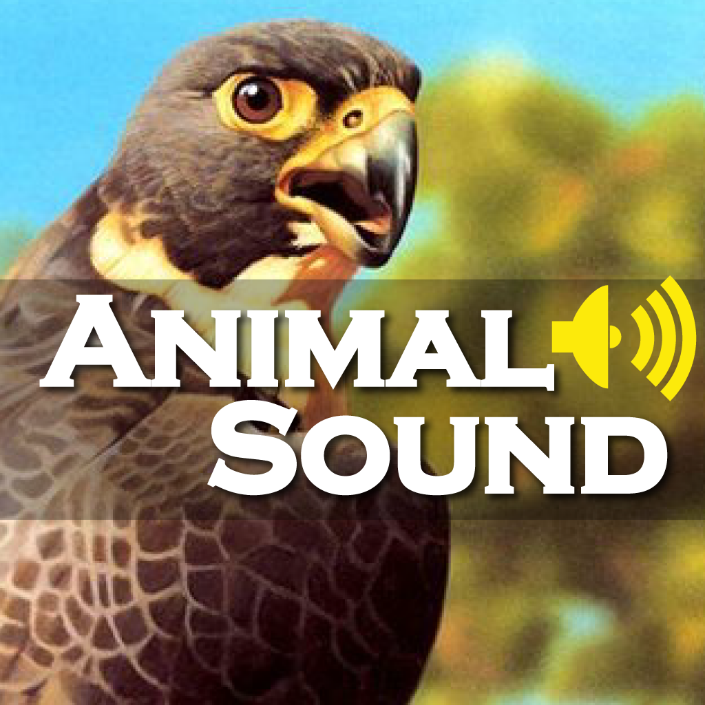 Animal Sounds Pro HD