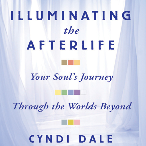 Illuminating the Afterlife Your Soul's Journey Through the Worlds Beyond by Cyndi Dale