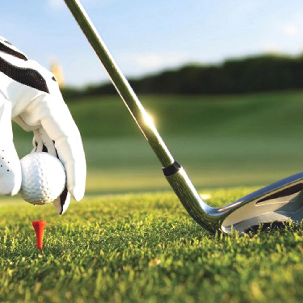 Amateur Golf 3D icon