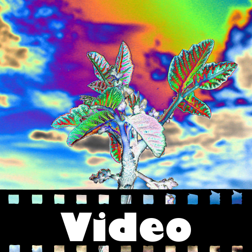 Psychedelic Video!