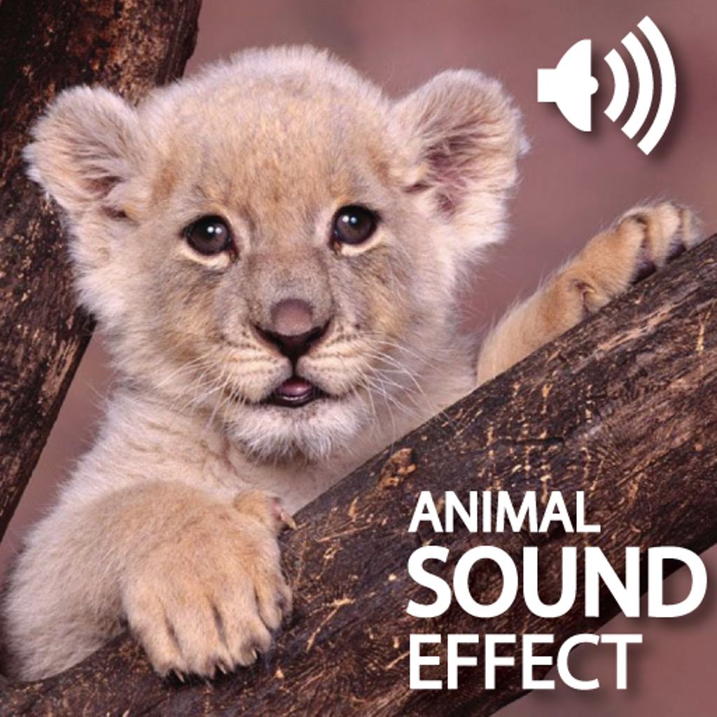 Animal Cute Sounds