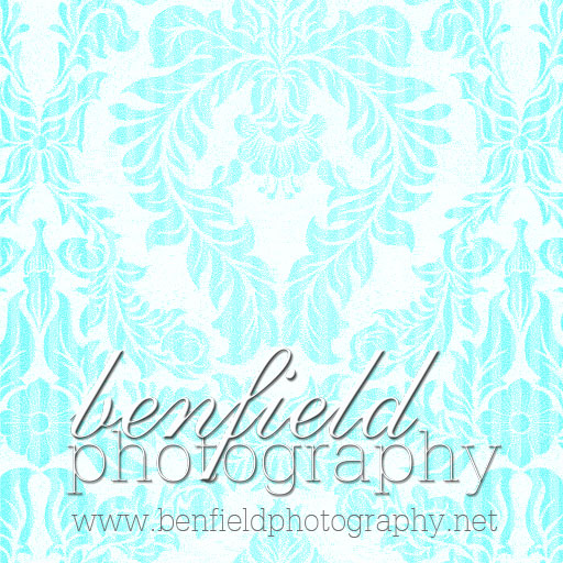 Benfield Photog icon