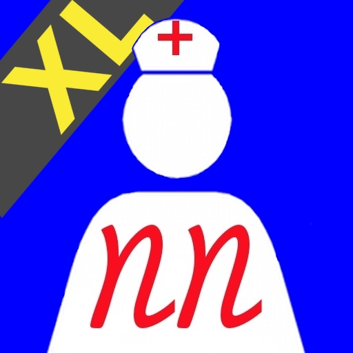 Nurse Notes XL for the iPad