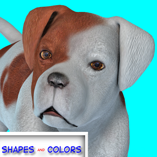 Shapes and Colors with Max and Boomer