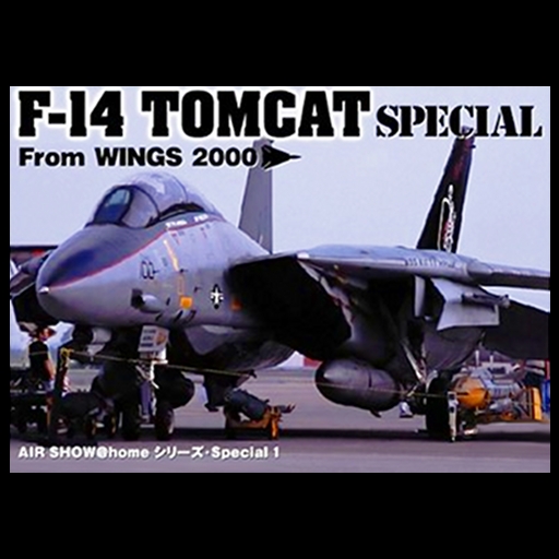 Movie of AIR SHOW vol.2 -F14 TOMCAT SPECIAL From WINGS 2000-