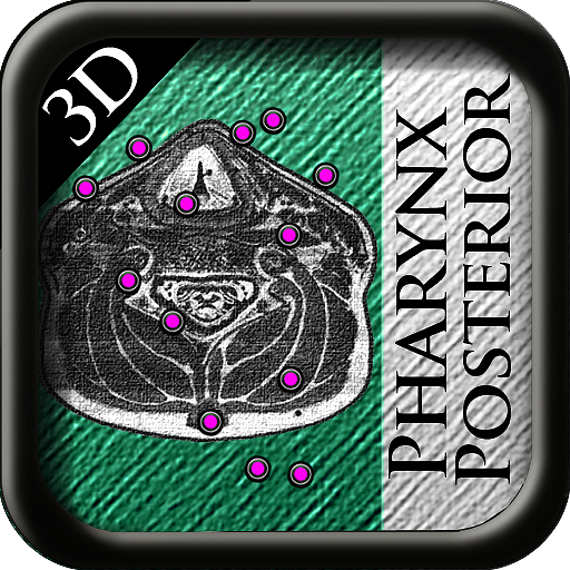 3D Pharynx Posterior icon