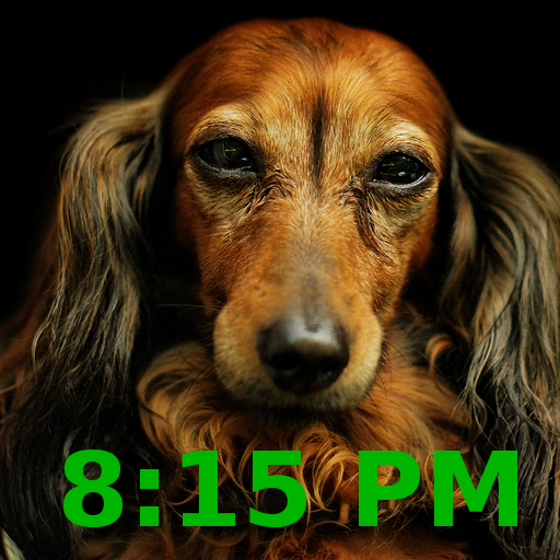 SmallDogClock Alarm Clock with Dog and puppy Pictures icon