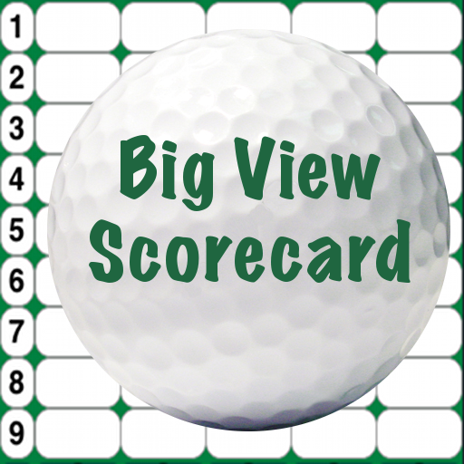 Big View Scorecard