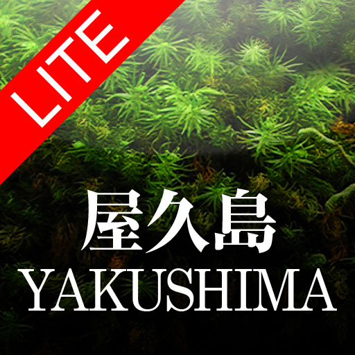 Yakushima Lite: A Picture Tour of the Forest of Souls