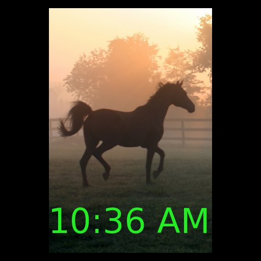 HorseClock Alarm Clock for Horse Lovers