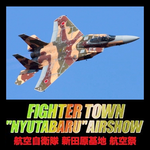 Movie of AIR SHOW vol.9 FIGHTER TOWN "NYUTABARU"