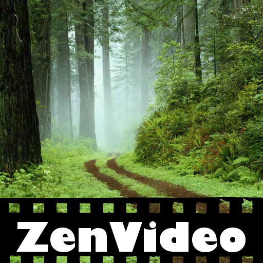 ZenVideo: Forests