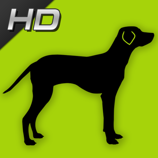 iDog(HD dog Cyclopedia)
