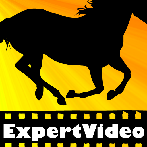 ExpertVideo: Sports Betting