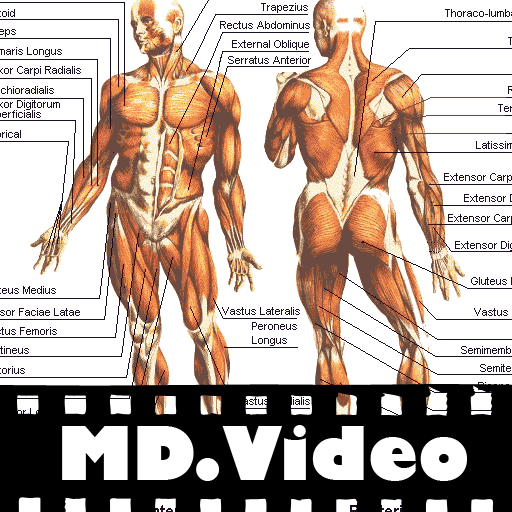 MDVideo: Anatomy & Physiology I
