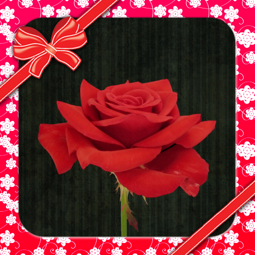 Gift a Rose to Someone You Love!