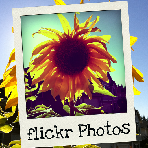 flickr Photos icon