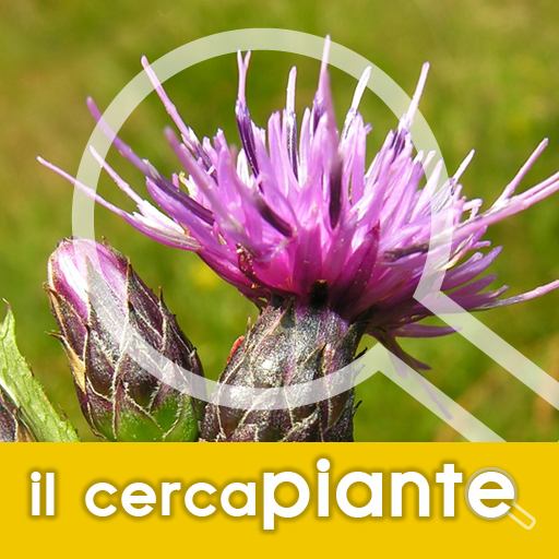 Plant Finder - Images, scientific names, common names of plants icon