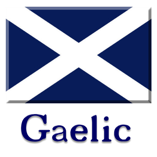 Scottish Gaelic Vocab Booster