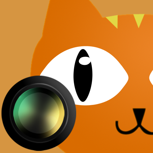 Cat Camera - meow