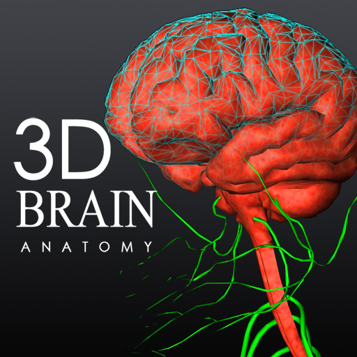 Приложение brain. 3d Brain ai. Шварц д Brain look. 3d Brain приложение для психолога.