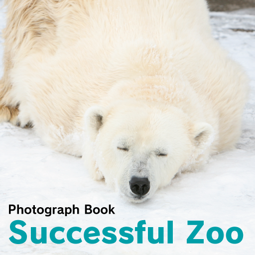 Successful Zoo