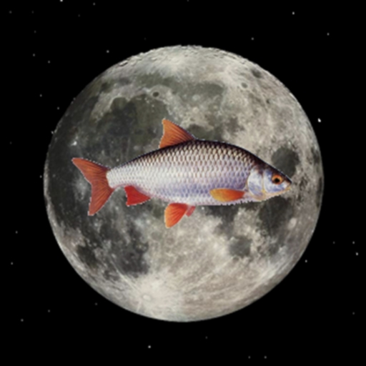 Fish&Moon