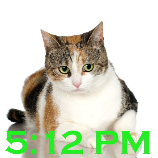 CatClock Alarm Clock with Cat and Kitten Pictures