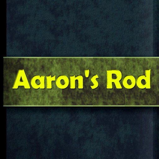 Aaron's Rod  by D.H.Lawrence
