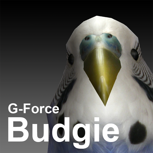 G-Force Budgie