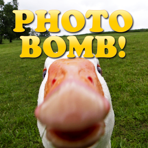 Photo Bomb!