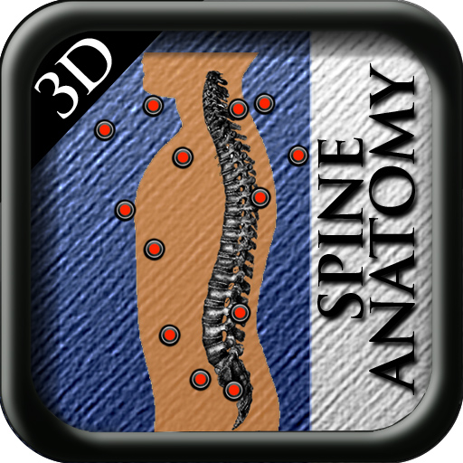 Anatomy Spine 3D icon