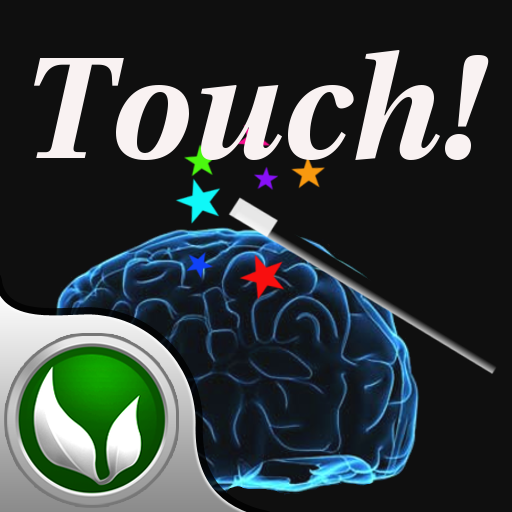 Touch Brain 2-IN-1 (iAd Edition)