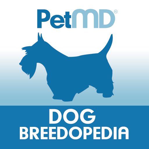 Breedopedia - Dog Breeds