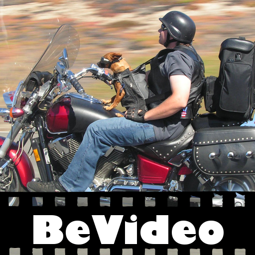BeVideo: Biker