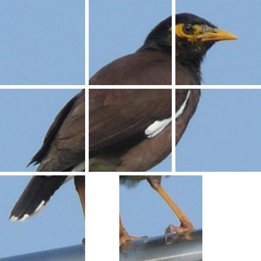 aQ’s Pro Slider Puzzle: iLove Birds