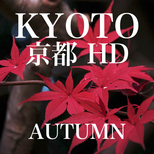 Beautiful Photographs of Japan: Autumn in Kyoto (HD)