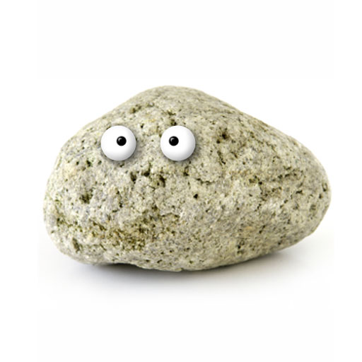 Pet Stone