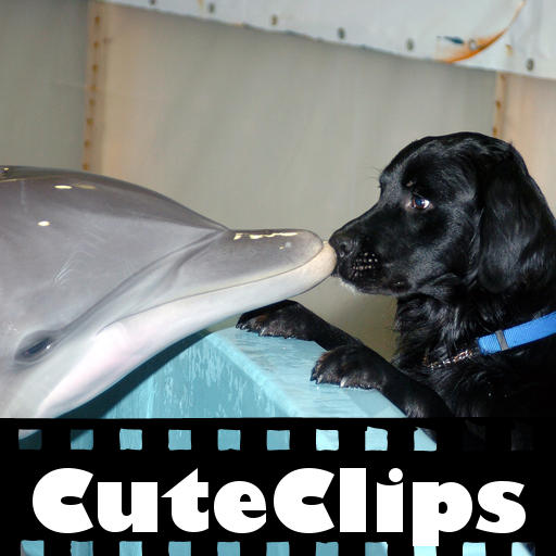 CuteClips: Interspecies Love