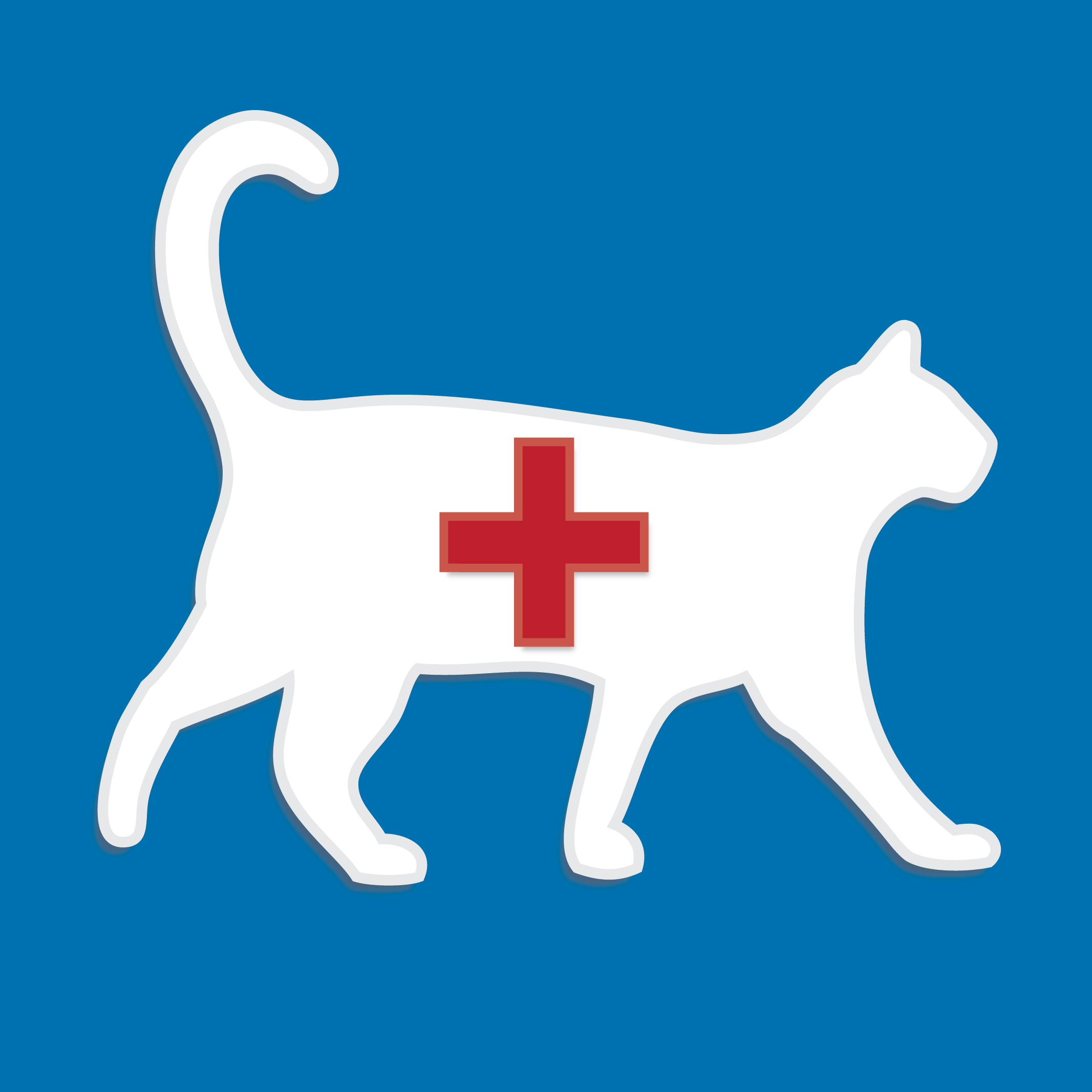 Cat Doctor icon