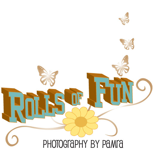 Rolls of Fun icon