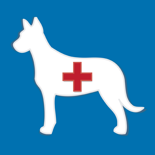 Dog Doctor icon