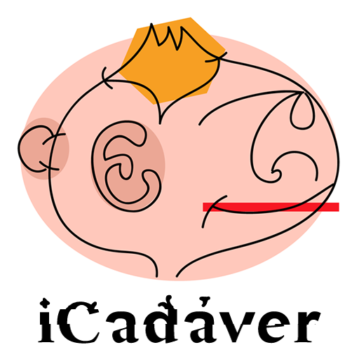 iCadaver icon