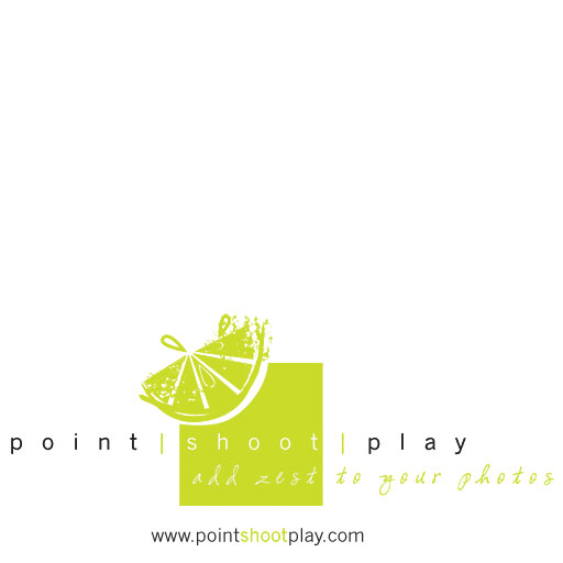 PointShootPlay