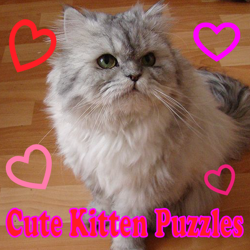 Cute Kitten Puzzles