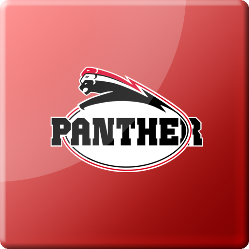 Düsseldorf Panther icon
