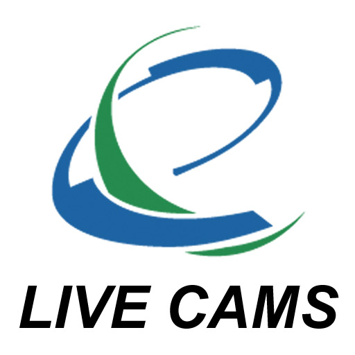 Live Cams Free