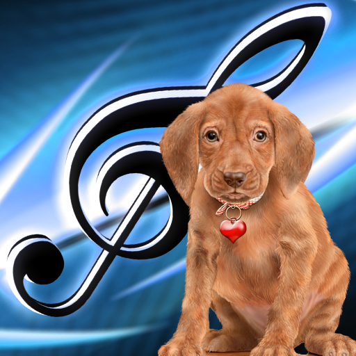 Vocal Zoo - Animal Flash Cards for children HD icon