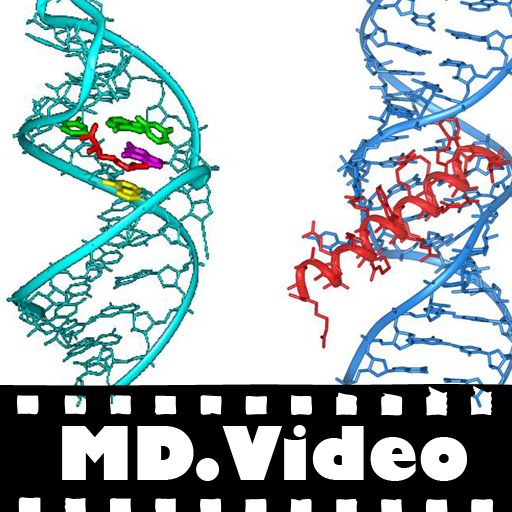 MDVideo: Biochemistry