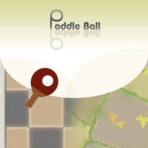 PaddleBall Lite